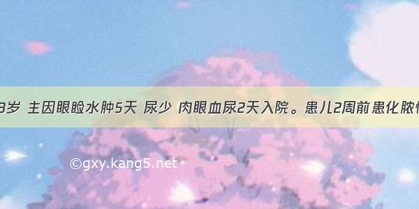 患儿男性 8岁 主因眼睑水肿5天 尿少 肉眼血尿2天入院。患儿2周前患化脓性扁桃体炎