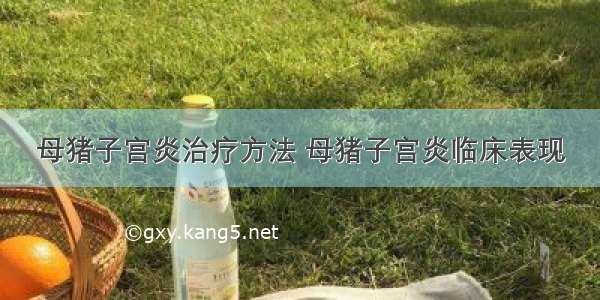 母猪子宫炎治疗方法 母猪子宫炎临床表现