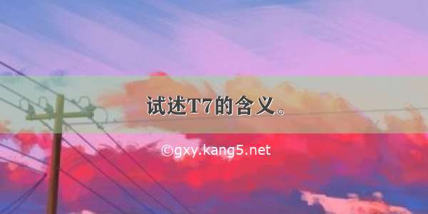 试述T7的含义。