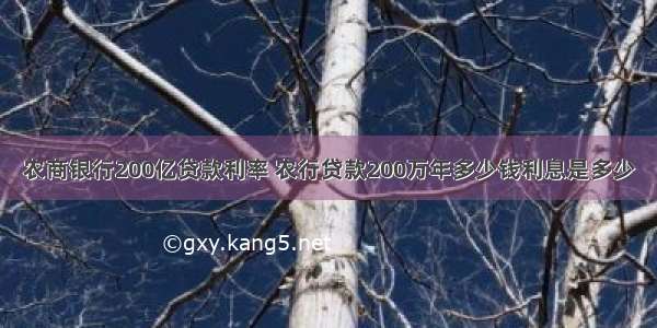 农商银行200亿贷款利率 农行贷款200万年多少钱利息是多少