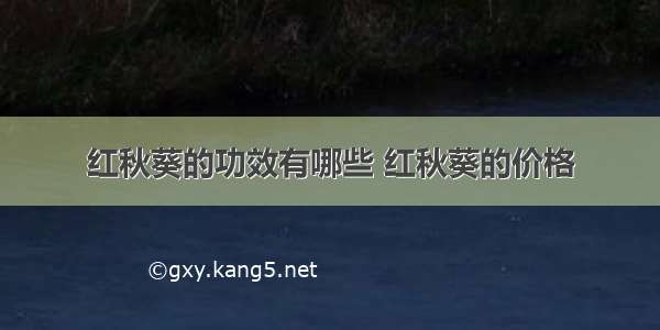 红秋葵的功效有哪些 红秋葵的价格