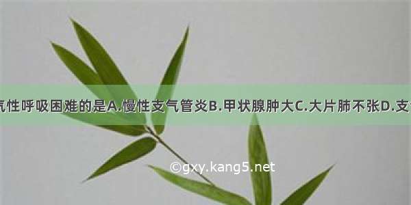 下列属于吸气性呼吸困难的是A.慢性支气管炎B.甲状腺肿大C.大片肺不张D.支气管哮喘E.气