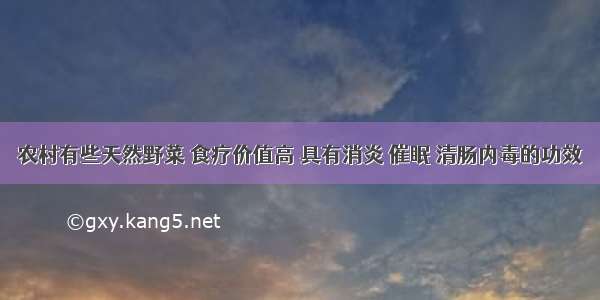 农村有些天然野菜 食疗价值高 具有消炎 催眠 清肠内毒的功效