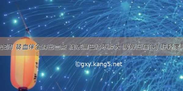 男性 病史2周 贫血伴全身出血点 浅表淋巴结不肿大 胸骨压痛(+) 肝轻度肿大 外周