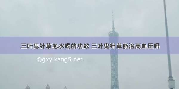 三叶鬼针草泡水喝的功效 三叶鬼针草能治高血压吗