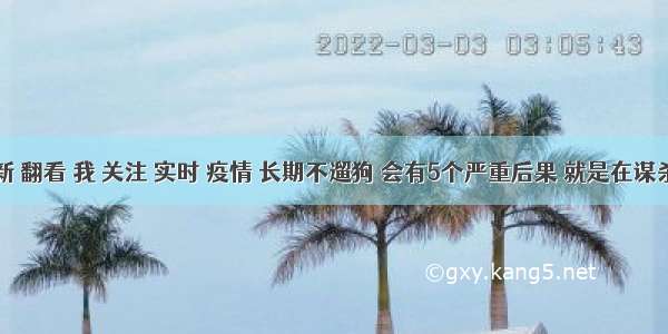 刷新 翻看 我 关注 实时 疫情 长期不遛狗 会有5个严重后果 就是在谋杀它