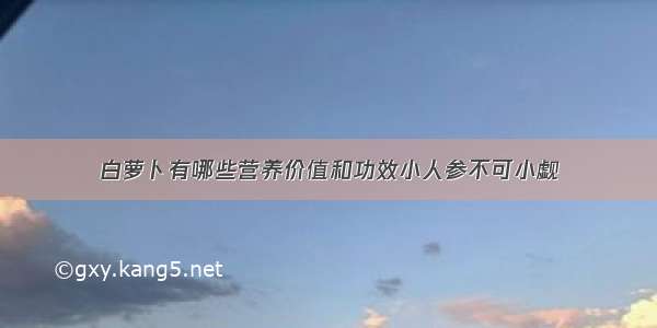 白萝卜有哪些营养价值和功效小人参不可小觑