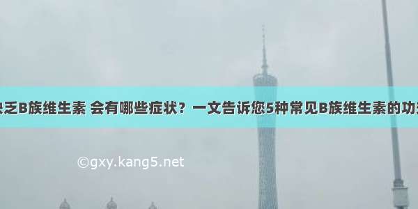 缺乏B族维生素 会有哪些症状？一文告诉您5种常见B族维生素的功效