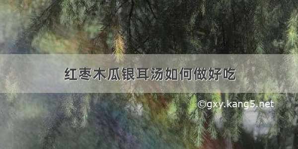 红枣木瓜银耳汤如何做好吃