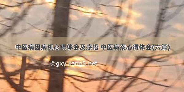 中医病因病机心得体会及感悟 中医病案心得体会(六篇)