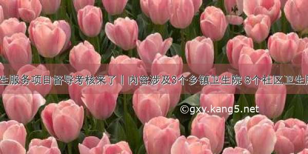 基本公共卫生服务项目督导考核来了丨内容涉及3个乡镇卫生院 8个社区卫生服务中心……