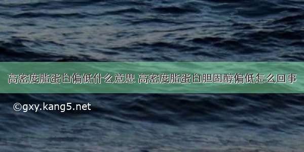 高密度脂蛋白偏低什么意思 高密度脂蛋白胆固醇偏低怎么回事