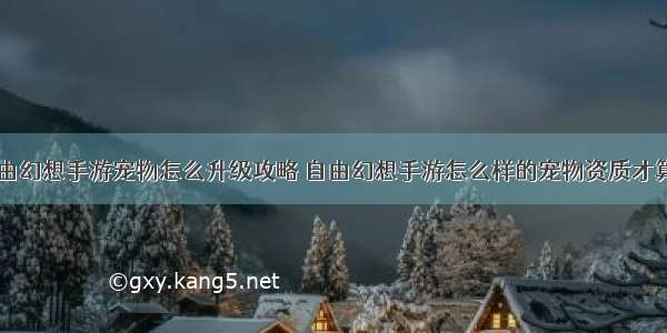 自由幻想手游宠物怎么升级攻略 自由幻想手游怎么样的宠物资质才算好