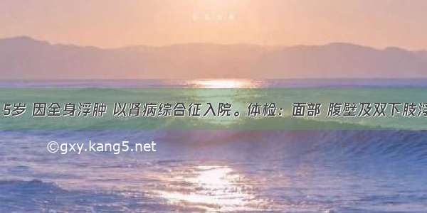 患儿 男 5岁 因全身浮肿 以肾病综合征入院。体检：面部 腹壁及双下肢浮肿明显 