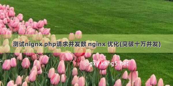 测试nignx php请求并发数 nginx 优化(突破十万并发)