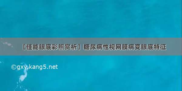 【佳能眼底彩照赏析】糖尿病性视网膜病变眼底特征