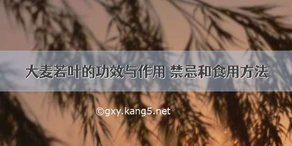 大麦若叶的功效与作用 禁忌和食用方法