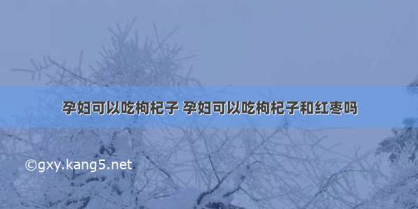 孕妇可以吃枸杞子 孕妇可以吃枸杞子和红枣吗