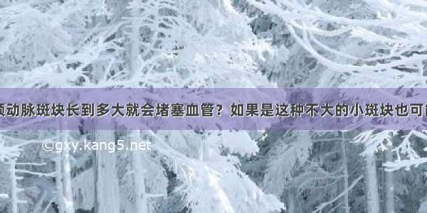 颈动脉斑块长到多大就会堵塞血管？如果是这种不大的小斑块也可能