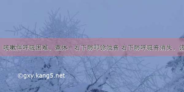 女性 60岁。咳嗽伴呼吸困难。查体：右下肺叩诊浊音 右下肺呼吸音消失。该患者可能为