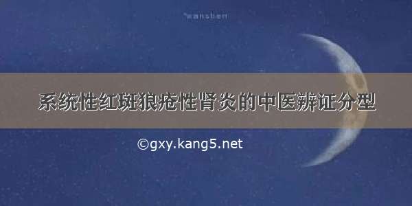 系统性红斑狼疮性肾炎的中医辨证分型