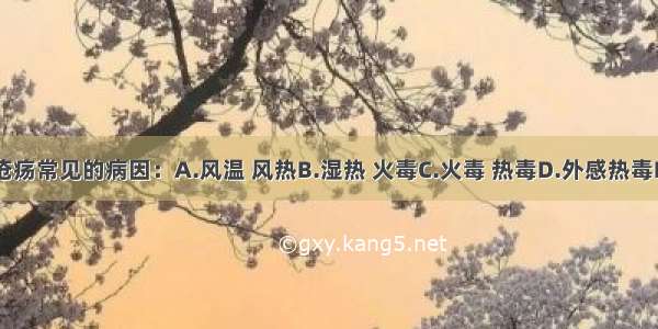 内伤所致疮疡常见的病因：A.风温 风热B.湿热 火毒C.火毒 热毒D.外感热毒E.脏腑虚弱