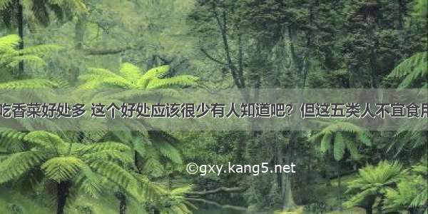 吃香菜好处多 这个好处应该很少有人知道吧？但这五类人不宜食用