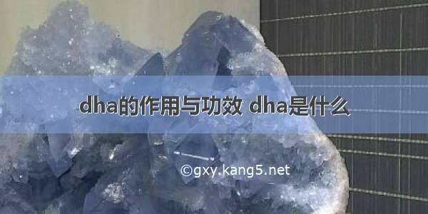 dha的作用与功效 dha是什么