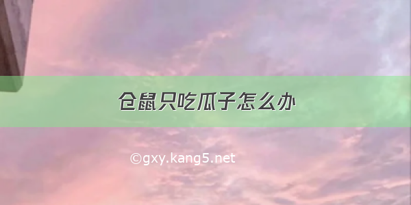 仓鼠只吃瓜子怎么办