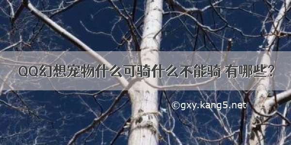 QQ幻想宠物什么可骑什么不能骑 有哪些？