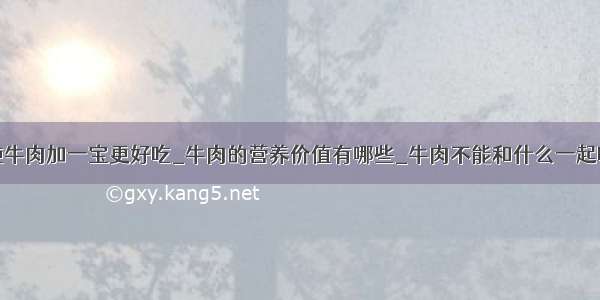 炖牛肉加一宝更好吃_牛肉的营养价值有哪些_牛肉不能和什么一起吃