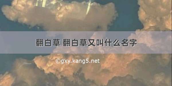 翻白草 翻白草又叫什么名字