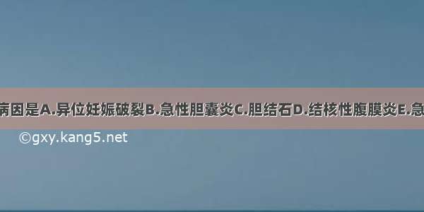 慢性腹痛的常见病因是A.异位妊娠破裂B.急性胆囊炎C.胆结石D.结核性腹膜炎E.急性胰腺炎ABCDE