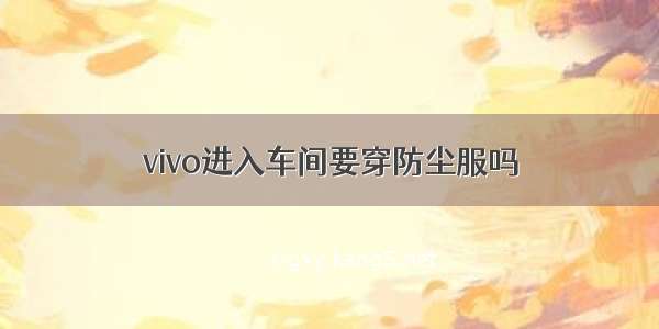 vivo进入车间要穿防尘服吗