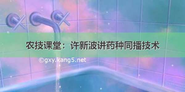 农技课堂：许新波讲药种同播技术