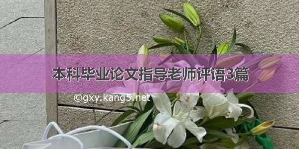 本科毕业论文指导老师评语3篇