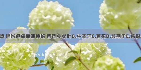 外感风热 咽喉疼痛而兼便秘 首选A.桑叶B.牛蒡子C.菊花D.蔓荆子E.葛根ABCDE