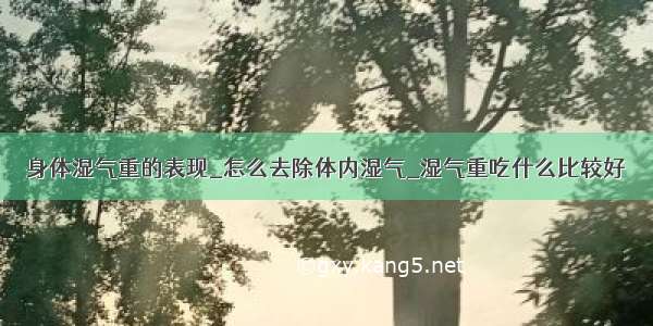 身体湿气重的表现_怎么去除体内湿气_湿气重吃什么比较好