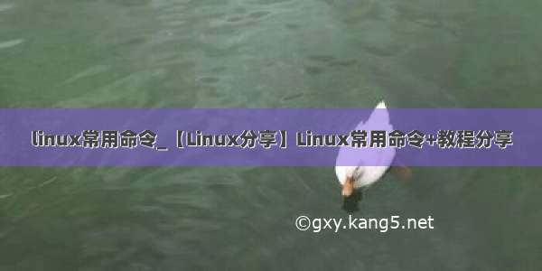 linux常用命令_【Linux分享】Linux常用命令+教程分享