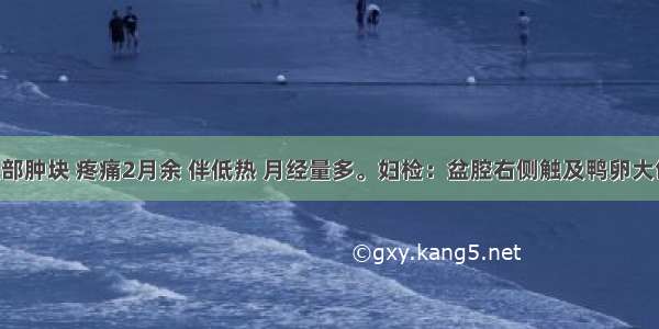 患者下腹部肿块 疼痛2月余 伴低热 月经量多。妇检：盆腔右侧触及鸭卵大包块 形状