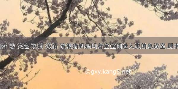 刷新 翻看 我 关注 实时 疫情 流浪猫妈妈叼着宝宝闯进人类的急诊室 原来是带着