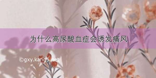 为什么高尿酸血症会诱发痛风