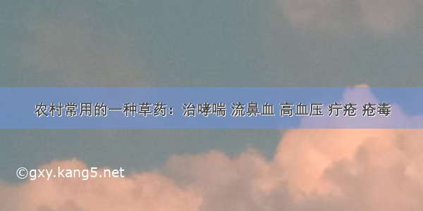 农村常用的一种草药：治哮喘 流鼻血 高血压 疔疮 疮毒