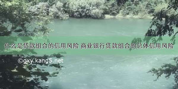 什么是贷款组合的信用风险 商业银行贷款组合的总体信用风险