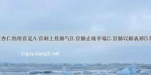 三仁汤中配伍杏仁的用意是A.宣利上焦肺气B.宣肺止咳平喘C.宣肺以解表邪D.降气平喘化痰