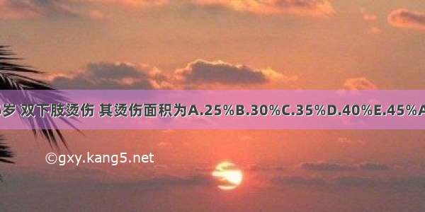 患儿 6岁 双下肢烫伤 其烫伤面积为A.25%B.30%C.35%D.40%E.45%ABCDE