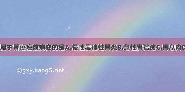 下列各项 不属于胃癌癌前病变的是A.慢性萎缩性胃炎B.急性胃溃疡C.胃息肉D.残胃炎E.巨