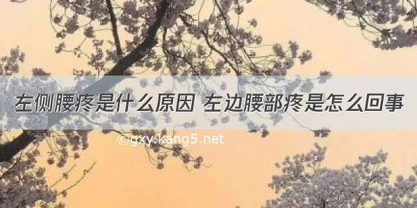 左侧腰疼是什么原因 左边腰部疼是怎么回事