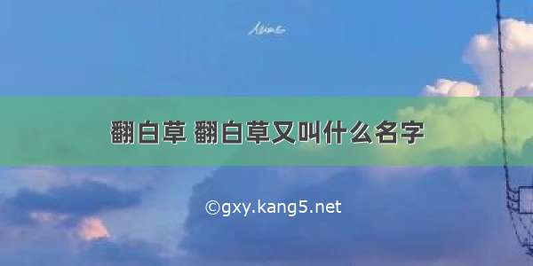 翻白草 翻白草又叫什么名字