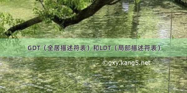 GDT（全居描述符表）和LDT（局部描述符表）